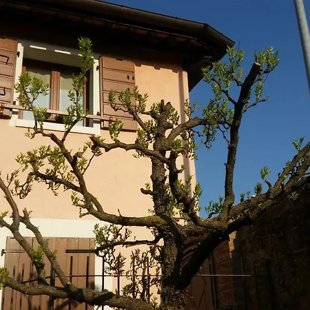 Il Giuggiolo Apartament *
